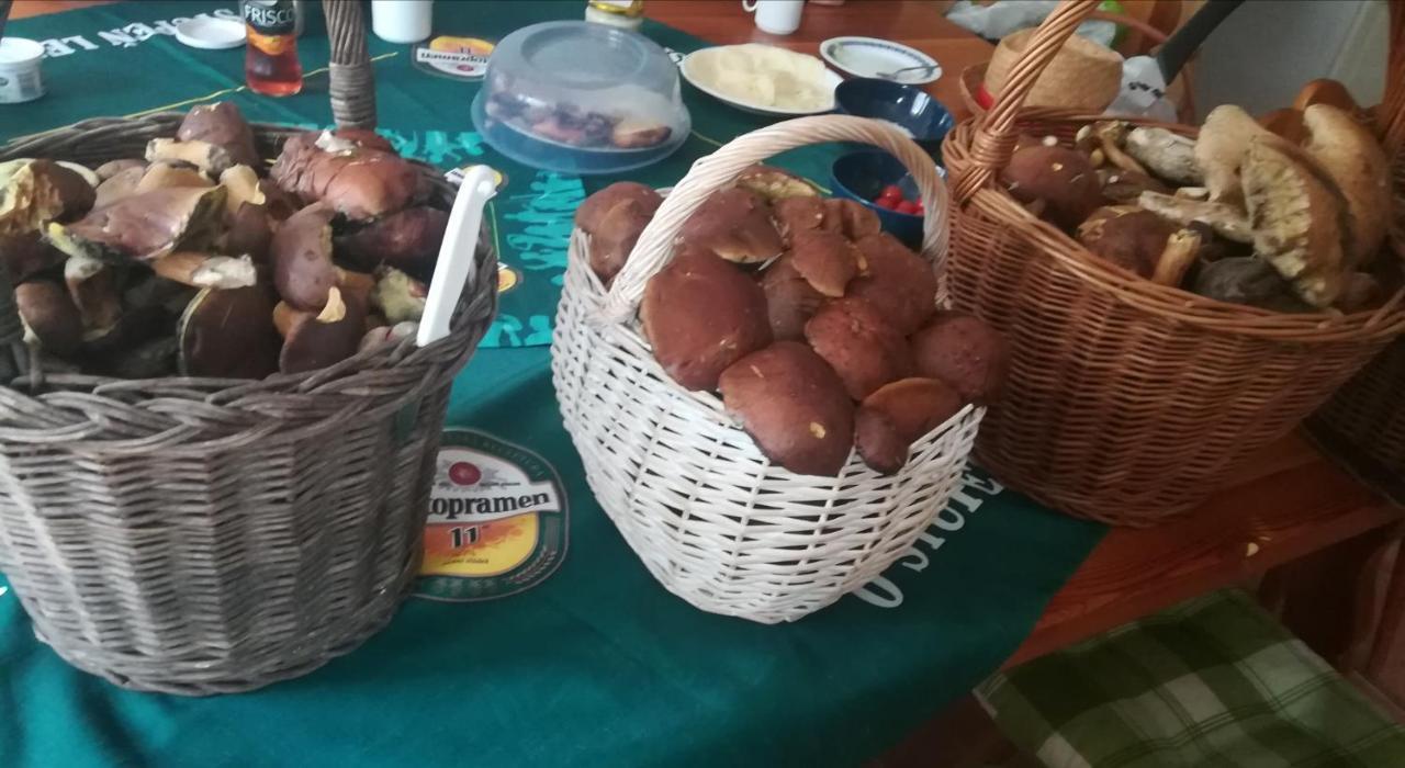 Willa Sedmikraska Horní Maršov Zewnętrze zdjęcie